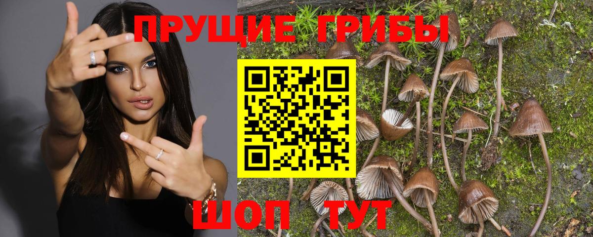 Псилоцибиновые грибы MAGIC MUSHROOMS  Вход с VPN  Жигулёвск 
