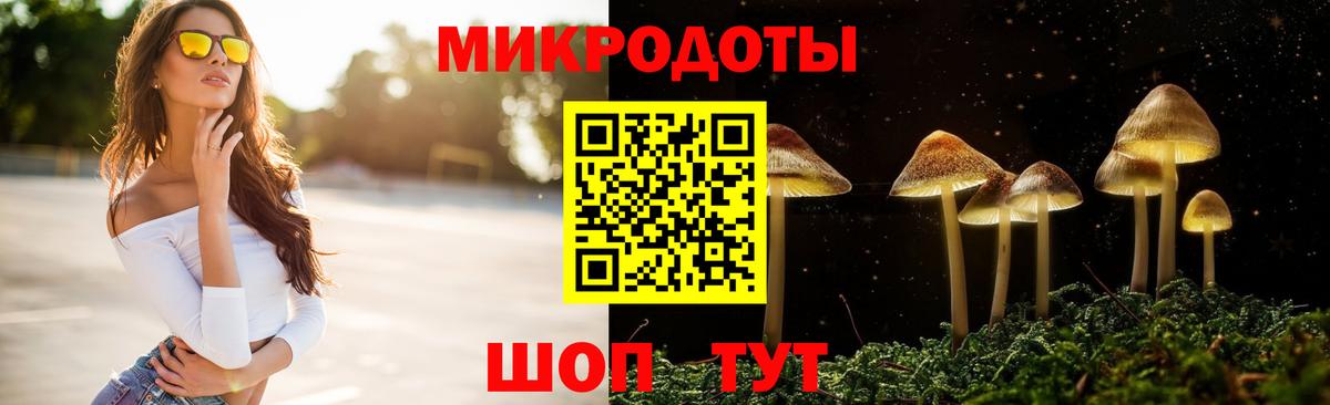 Псилоцибиновые грибы мицелий Жигулёвск